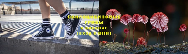 apvp Карталы