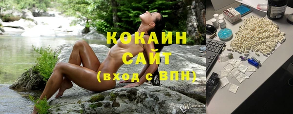 бошки Осинники