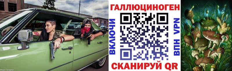 где купить Сусуман Псилоцибиновые грибы мицелий